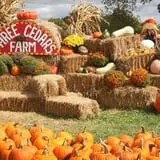 Three Cedars Farm photo