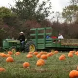 Three Cedars Farm photo