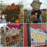 Three Cedars Farm photo