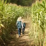 Three Cedars Farm photo