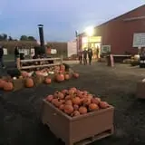 The Blast Corn Maze photo