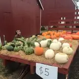 The Blast Corn Maze photo