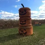 The Blast Corn Maze photo