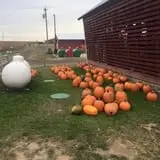 The Blast Corn Maze photo