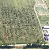 The Blast Corn Maze photo