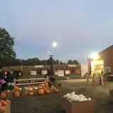 The Blast Corn Maze photo