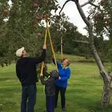 Morrison Hill Orchard photo