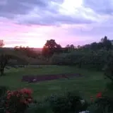 Morrison Hill Orchard photo