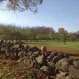 Morrison Hill Orchard photo