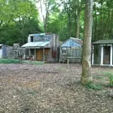 Wicked Woods Haunted Trail photo
