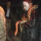 Wicked Woods Haunted Trail photo