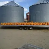 Dehn's Pumpkins
