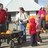 Dehn's Pumpkins