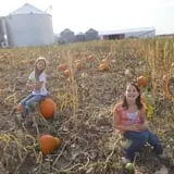 Dehn's Pumpkins