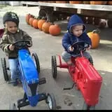 Dehn's Pumpkins photo