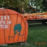 Peter's Pumpkin Patch photo