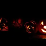 Peter's Pumpkin Patch photo