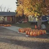 Peter's Pumpkin Patch photo
