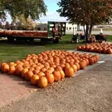 Peter's Pumpkin Patch photo