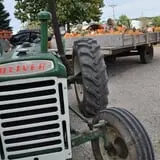 Peter's Pumpkin Patch photo
