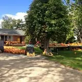 Peter's Pumpkin Patch photo