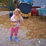 Peter's Pumpkin Patch photo