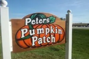 Peter's Pumpkin Patch