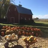 Osborn Farm photo