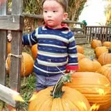 Osborn Farm photo