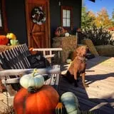 Osborn Farm photo