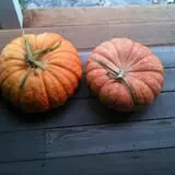 Osborn Farm photo
