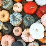Osborn Farm photo