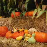 Osborn Farm photo