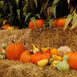 Osborn Farm photo