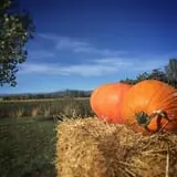 Osborn Farm photo