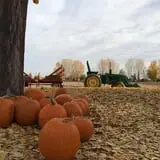 Osborn Farm photo