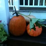 Osborn Farm photo