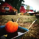 Osborn Farm photo