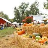 Osborn Farm photo