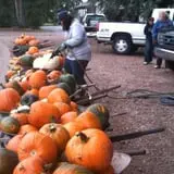 Osborn Farm photo