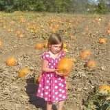 Osborn Farm photo