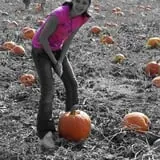 Osborn Farm photo