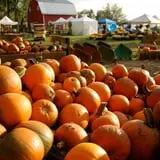 Osborn Farm photo