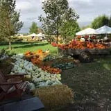 Osborn Farm photo
