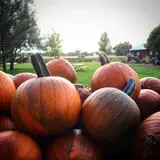 Osborn Farm photo
