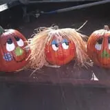 Osborn Farm photo