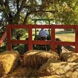 Osborn Farm photo