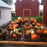 Osborn Farm photo