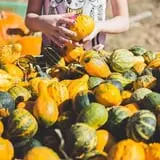 Osborn Farm photo