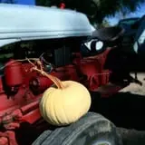 Osborn Farm photo